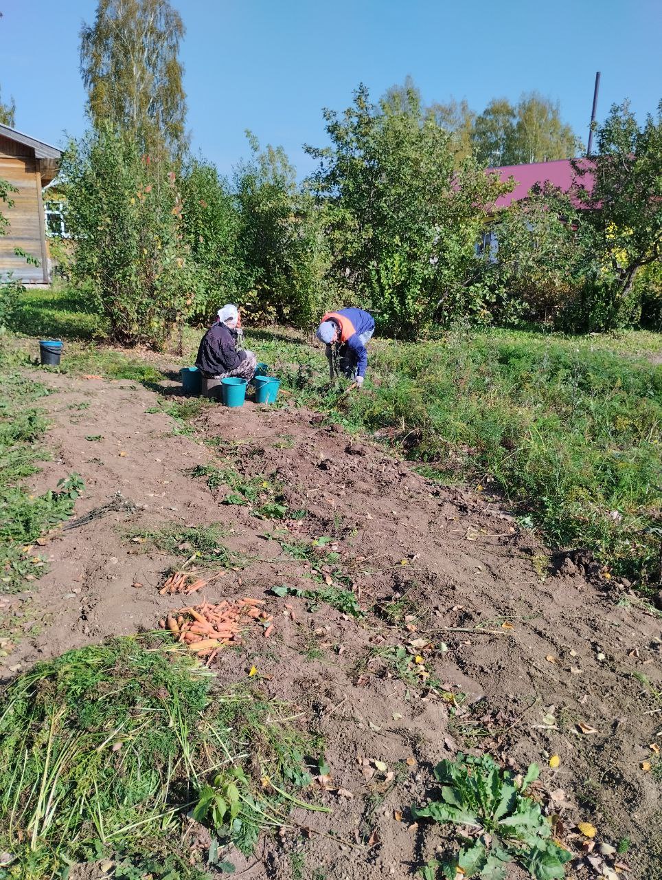 Уроки сельскохозяйственного труда - работа на пришкольном участке..